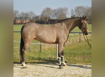 Lottje