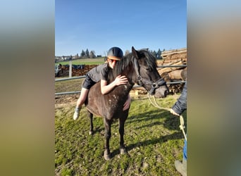Bella