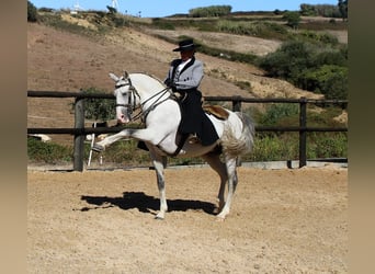 Belmonte