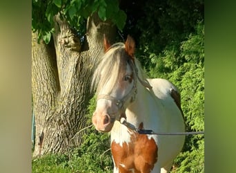 Spenzer