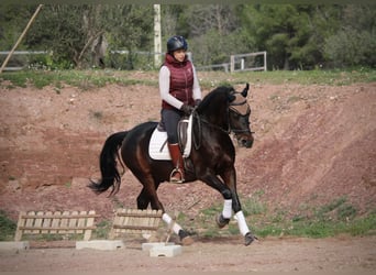 TROYA